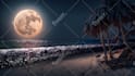 do relaxing beach cafe video, loop animation and ocean waves