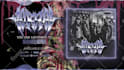 do your metal song streaming visualizer video for single or album