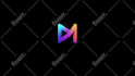 create professional custom 2d logo animation