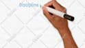 2d plus whiteboard animation combination