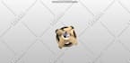 do 3d cad model jewelry design