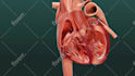 create 3d product animation