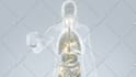 make 3d medical animation