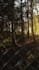 produce original relaxing, meditation, sleep, ambient music