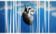 create a professional collage animated music lyric video