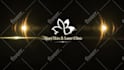 do professional logo animation youtube intro video in 24h