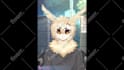 do professional live2d vtuber rigging cheap and fast