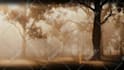 create aggressive dark metal lyic visuals