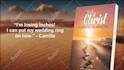 create custom ebook video and promotional book trailer