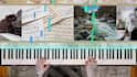 make you a 2d piano visualizer for your live piano performance plz chat first