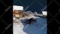 do vfx cleanup, remove unwanted object,wire and text from video
