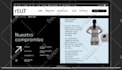 develop a pixel perfect copy clone of any website into wordpress