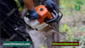 create a tree removal video or tree trimming video
