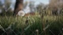 create cinematic edits including trailers and films