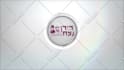 create 50 logo intro video animations