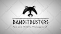 do a speed drawing custom animated logo intro video