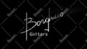 create animated handwritten signature or text logo animation