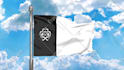 be doing a 3d animation of the flag