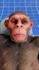 create 3d animation youtube shorts like zack d films