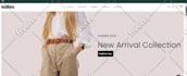 do stunning, responsive, and modern front end development