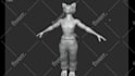do custom 3d nsfw vrchat avatar, furry vtuber model, animaze character, vbridger