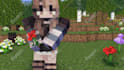 create 3d minecraft animation, intro, cinematic video, and shorts