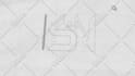 create a custom logo animation and intro video