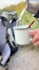 create user generated content, tik tok, instagram reels ugc