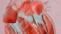 do professional 3d medical animation all fields