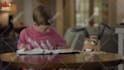 customize this funny realtor house search or pest control ad