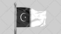 be doing a 3d animation of the flag