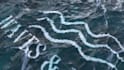 make realistic ocean logo reveal animation