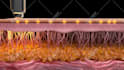 create 3d medical animation and 3d modeling