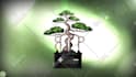 create custom logo animation and video intro in 24 hours