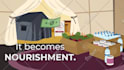 create a fully custom 2d animated explainer video