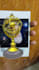 make custom augmented reality, webar, 8th wall, zappar, mywebar