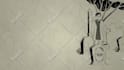 make custom black and white 2d animation video