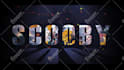custom logo animations, video intros and outros, and  video editing