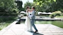 edit your cinematic wedding video