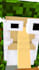 create minecraft animation for tiktok