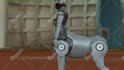 do 3d modeling, rigging and 3d product animation video