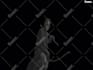 professional rotoscoping, masking, and alpha channel