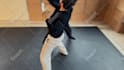 do video editing your fight sequence