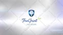 create 42 amazing animated logo intro video in 24hrs