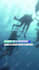 create effective video adverts for social media