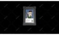create dynamic nft card animation and 3d nft animation