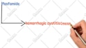 create 8 minute 2d whiteboard animated doodle video