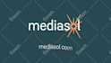 create a high quality logo animation intro