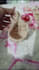 test crochet patterns with final product photos