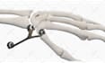 do high quality 3d medical animation and product modeling